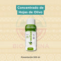Concentrado de Hojas de Olivo | Santa Natura