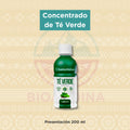 Concentrado de Té Verde | Santa Natura