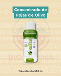 Concentrado de Hojas de Olivo | Santa Natura